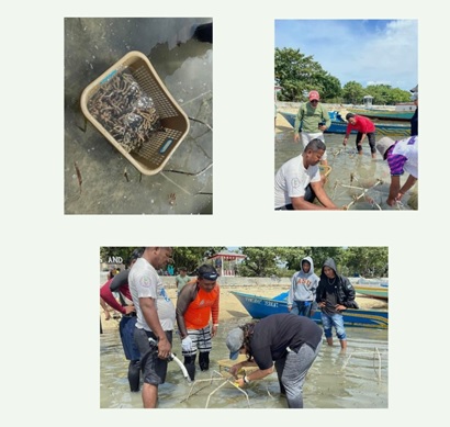 Kegiatan akademik Universitas Halmahera